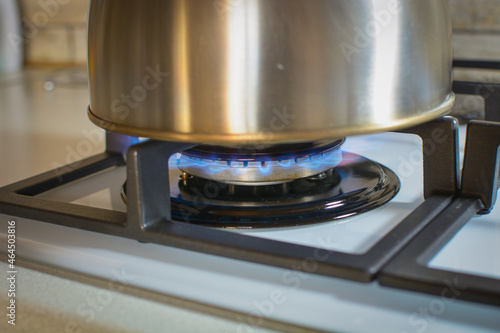 Natural gas burns in a gas stove .