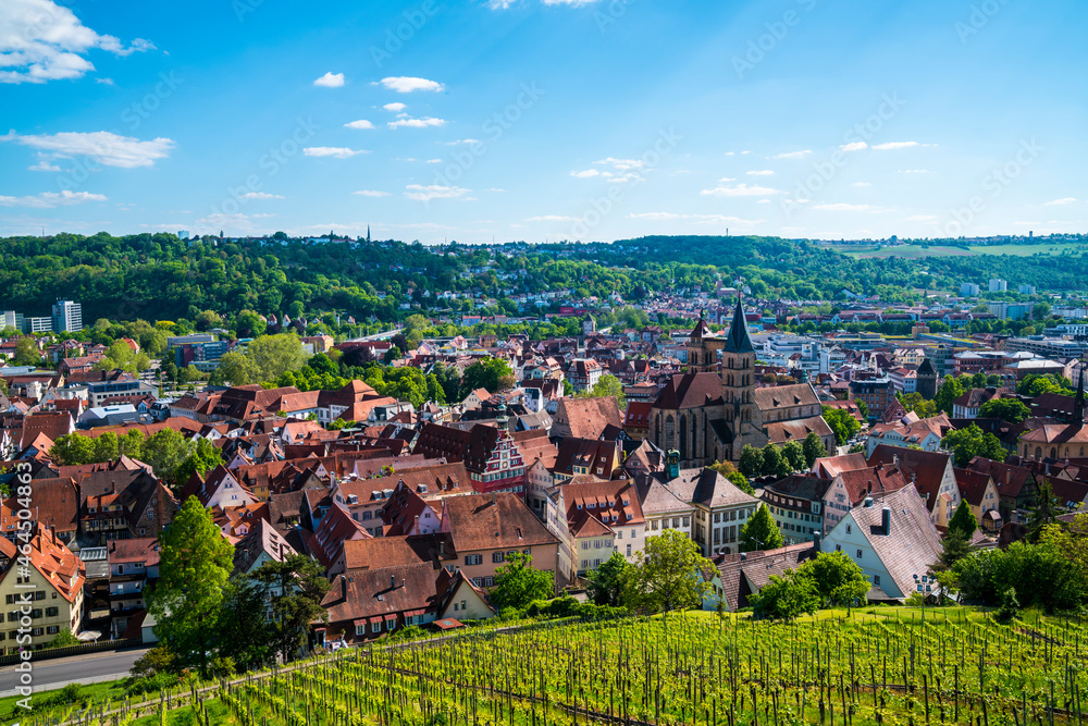 Germany, Esslingen am Neckar city old town houses and st dionys church tower, the famous skyline of the medieval town