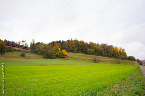 autumn landscape in the countryside in Switzerland