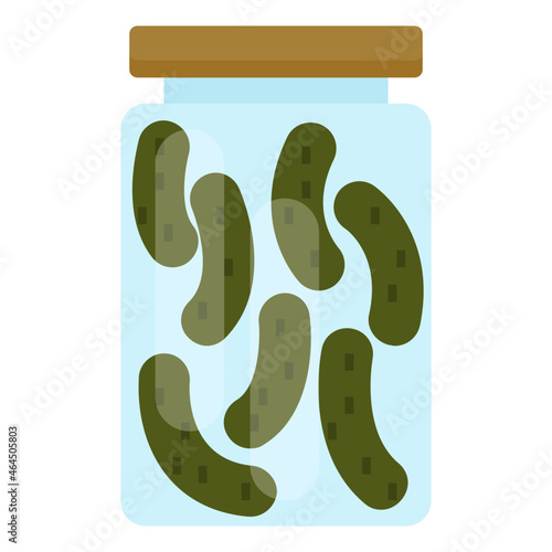 pickling flat icon