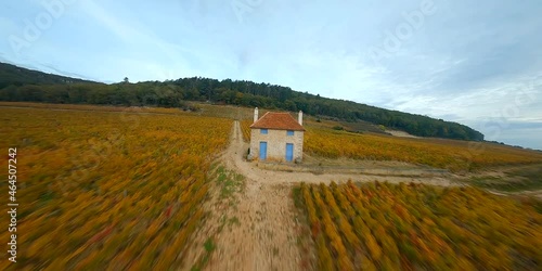 VIGNOBLE