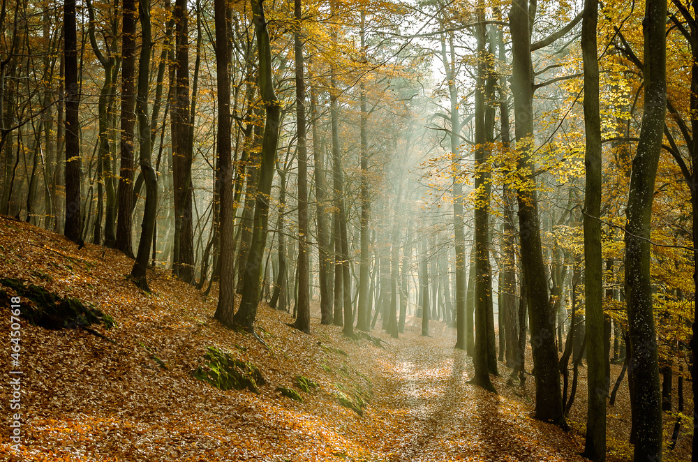 Fototapeta premium ktb