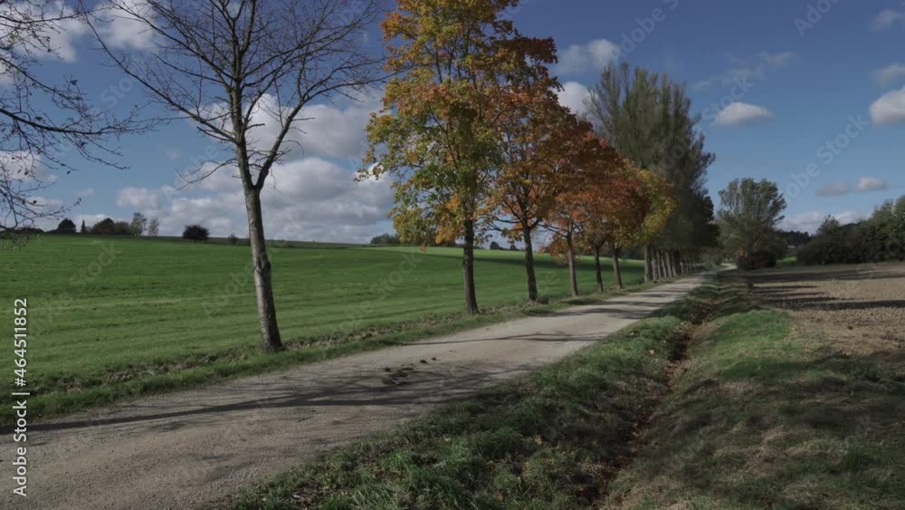 Ein Landweg mit herbstlichen Bäumen und einer ländlichen Gegend. Ein Landweg mit herbstlichen Bäumen und einer ländlichen Gegend.