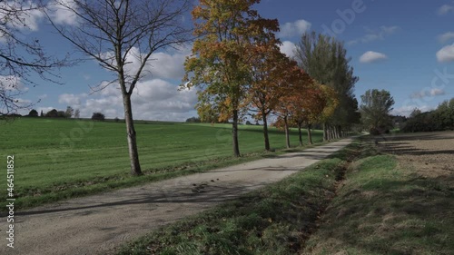 Ein Landweg mit herbstlichen Bäumen und einer ländlichen Gegend.