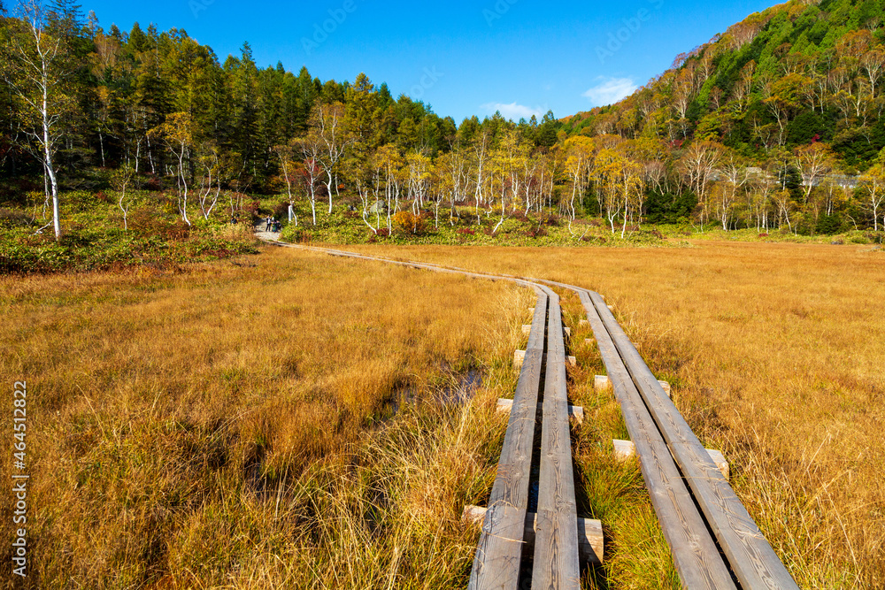 Obraz premium 志賀高原から紅葉の田ノ原湿原