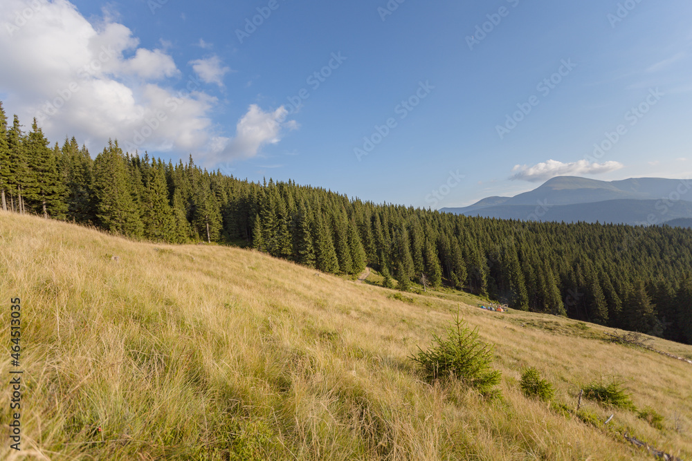 wide panorama of mountain peaks with forests. hiking in the mountains. outdoor recreation