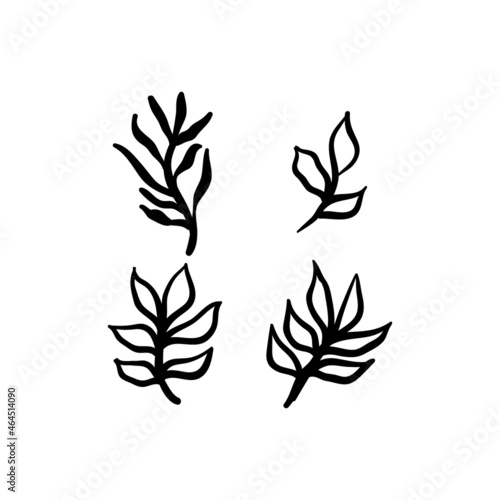 Little branches and floral doodles, hand drawn sketch drawings of plants, branches and leaves. Vector illustration. © Matias