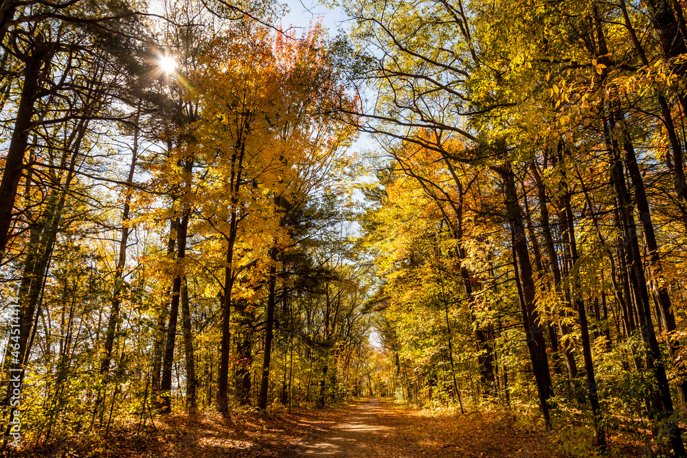 Spectacular, colorful autumn landscape in Oka National Park, Quebec, Canada