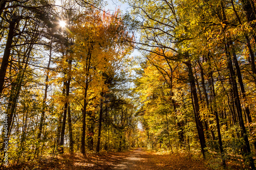 Spectacular, colorful autumn landscape in Oka National Park, Quebec, Canada