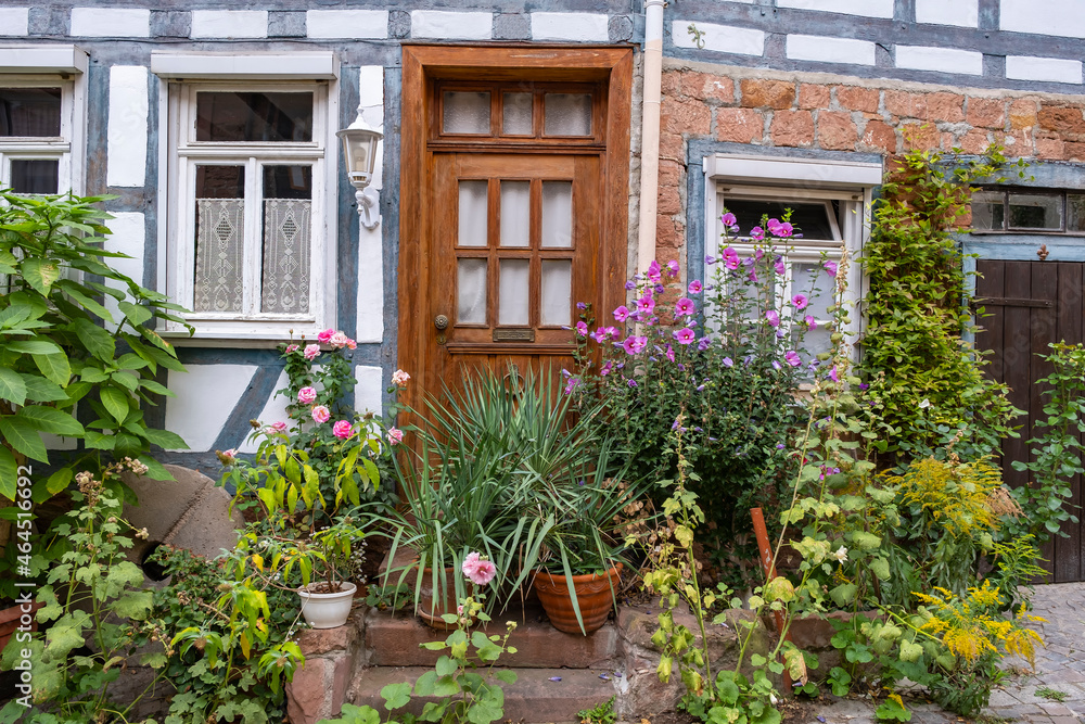 View of a house facade that is richly decorated with plants in front of it 