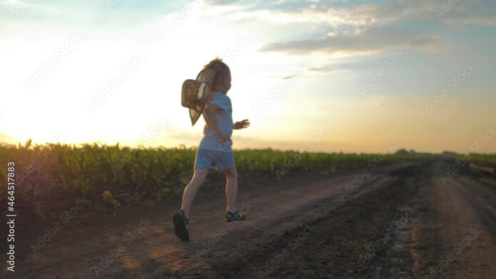 A little boy in a hat run through a cornfield. Young corn field. Slow motion. A little boy in a hat run through a cornfield. Young corn field. Slow motion.