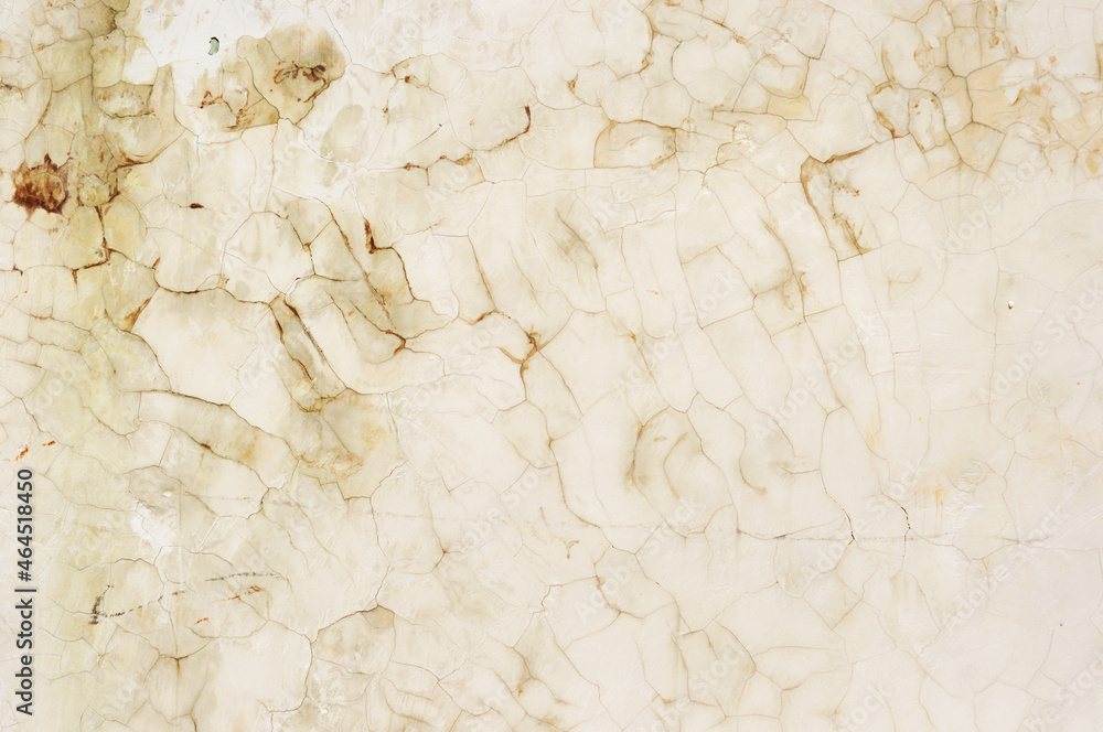 Obraz premium texture of paper