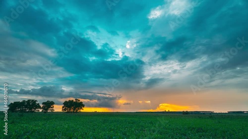 Rain Rainy Clouds Above Countryside Rural Field Landscape With Young Green Wheat Sprouts In Summer Cloudy Sunset Evening. Heavy Clouds Above Agricultural Field. Young Wheat Shoots 4K time-lapse photo