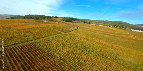 Vignoble bourguignon en automne