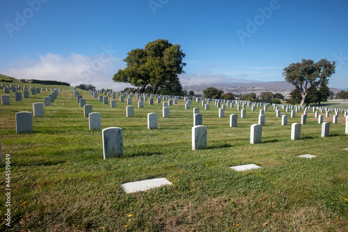 (All Proceeds From this Image Donated to Wounded Warrior Project) The San Francisco National Cemetery with Fallen Heroes and Veteran in Memorial