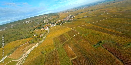 Vignoble bourguignon en automne