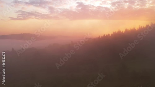 Wallpaper Mural Thick fog covers mountains and forests in rays of morning light. Filmed in 4k, drone video. Torontodigital.ca