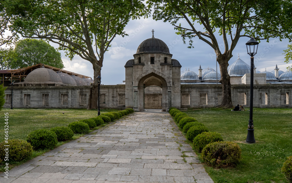 Fototapeta premium The beautiful Suleymaniye mosque in Istanbul, Turkey