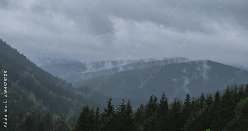 Rainy weather in mountains. Misty fog blowing over pine tree forest Rainy weather in mountains. Misty fog blowing over pine tree forest