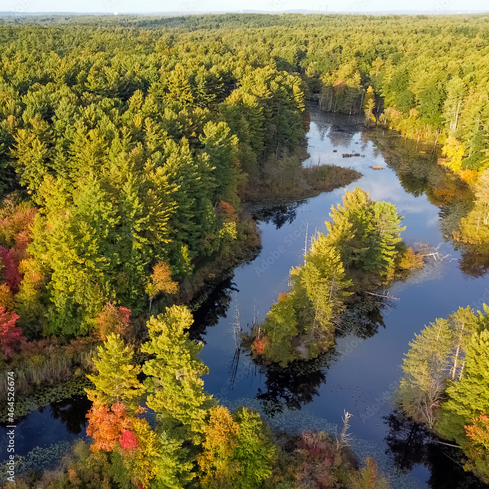 Aerial view of a forest in the fall season. Aerial view of a forest in the fall season.