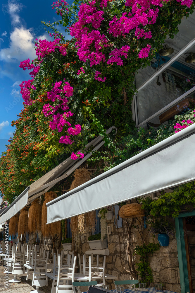 Narrow cobbled streets of Alacati under flowers are waiting for tourists.