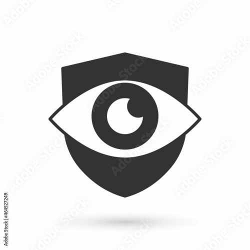 Grey Shield and eye icon isolated on white background. Security, safety, protection, privacy concept. Vector