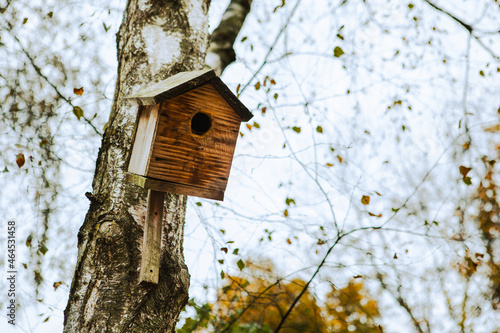 birdhouse on the tree © phpetrunina14