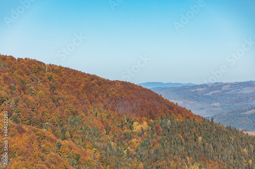 landscape view of autumn carpathian mountains © phpetrunina14
