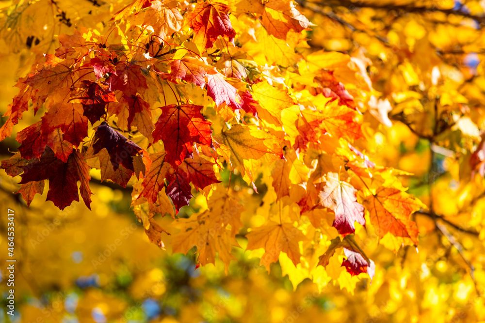 Herbst Herbst