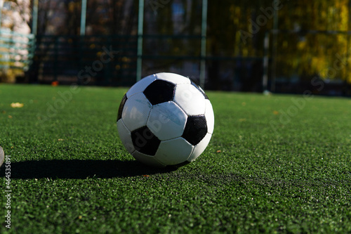 soccer ball on a green field