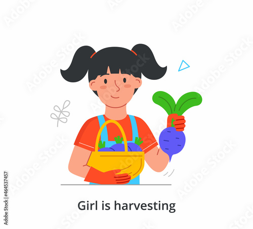 Girl harvesting concept. Cute female character holds beetroot and puts it in large basket. Fresh organic vegetables. Child does housework. Cartoon flat vector illustration isolated on white background