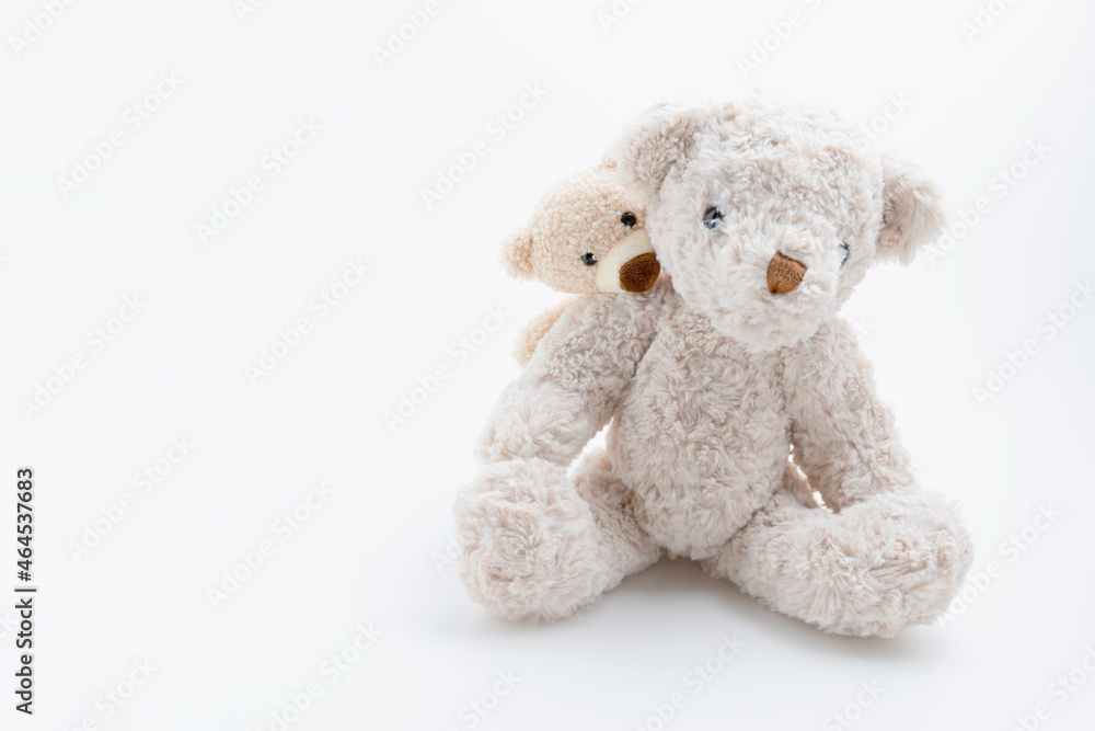 Brown little teddy bear hug big teddy is behind isolated on white background with copy space. love family, valentines day.