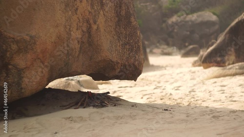 Small bonfire smolders near huge rock spreading smoke on white sand of wild beach at tropical island in sunny day in Vietnam