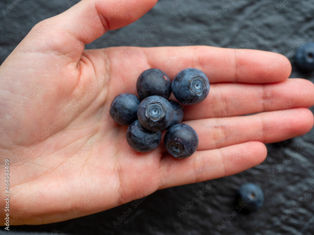in the female palm are berries of fresh ripe juicy blueberries. Black textured background in the female palm are berries of fresh ripe juicy blueberries. Black textured background