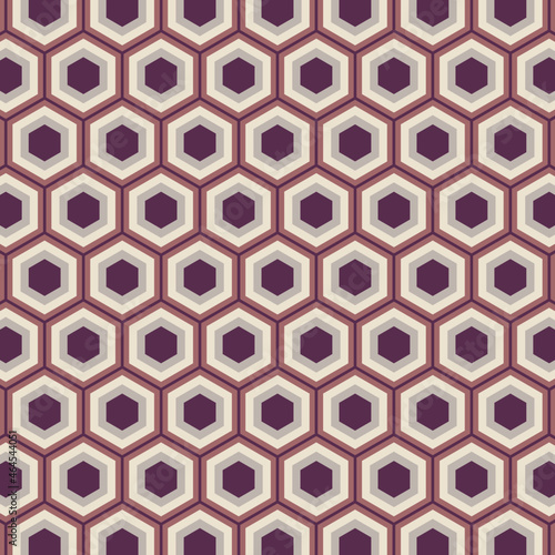 The hexagonal geometric seamless pattern design.