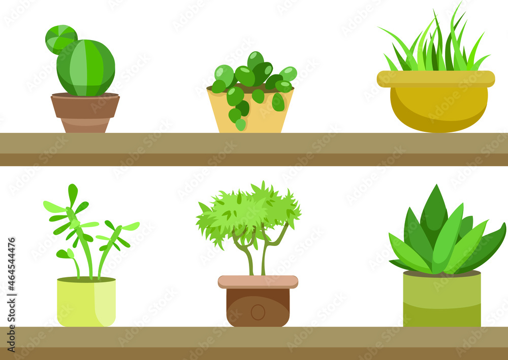 Fototapeta premium A cute girl waters flowers from a watering can. Various house plants. Vector illustration in a flat style.