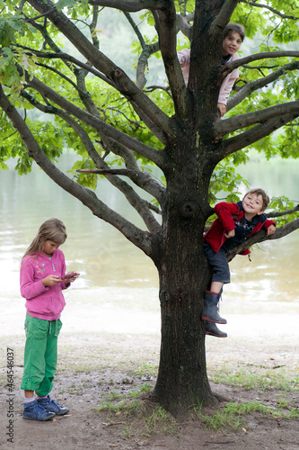 A seven-year-old boy in a red fleece jacket and blue corduroy pants climbed an oak tree photo