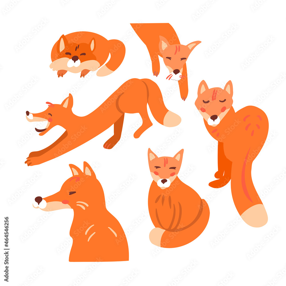 Set cute foxes. Forest animal. Logo for design. Vector illustration isolated on white background.