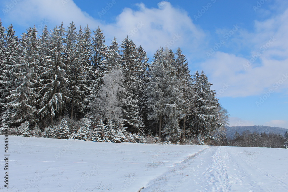 Winterwelt Schwarzwald