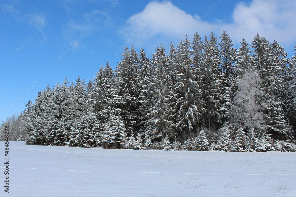 Winterwelt Schwarzwald Winterwelt Schwarzwald