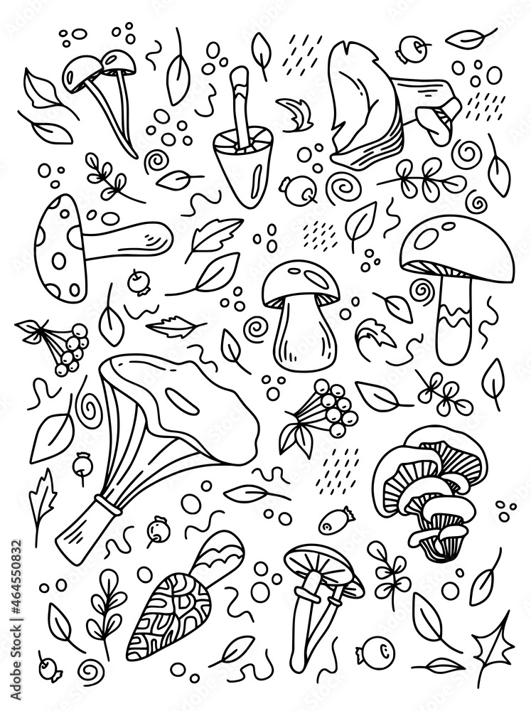 Mushroom set of hand drawn vector illustrations in black color isolated on white background. Cep, chanterelle, honey agaric, enoki, morel, oyster mushrooms, shimeji, champignon, shiitake.