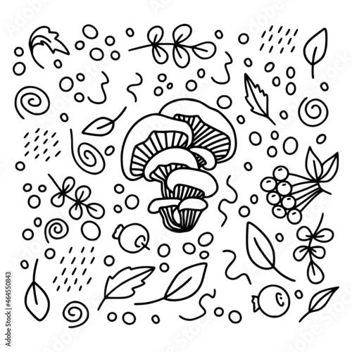 Ouster mushroom set with leaves and berries in black isolated on a white background for autumn or thanksgiving cards, t-shirt design, coloring page. Vector illustration