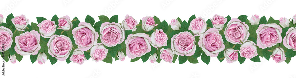 Pink rose flowers and leaves isolated on white background. Horizontal seamless background with roses. Vector illustration. Pink rose flowers and leaves isolated on white background. Horizontal seamless background with roses. Vector illustration.