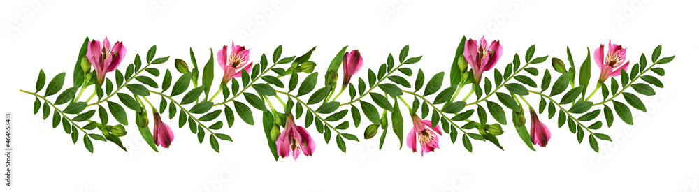Pink alstroemeria flowers and green leaves of pistachio in a floral line arrangement isolated