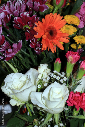 Pretty Close Up of Flowers and Petals for Botanical Background