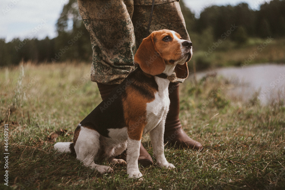 A beagle dog sits on the grass near the lake near the legs of a man in a khaki suit and brown rubber boots