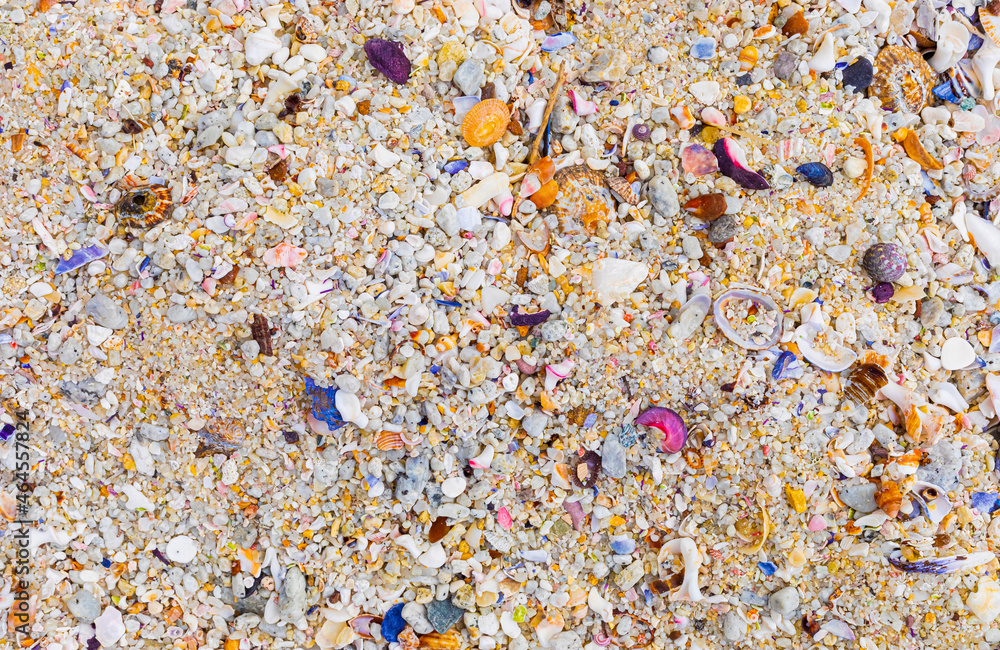 Overhead view of washed up and broken sea shells on sandy beach Overhead view of washed up and broken sea shells on sandy beach