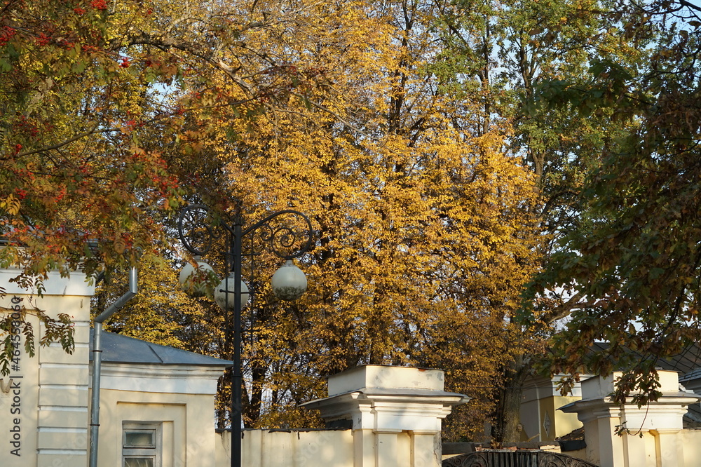 Naklejka premium autumn in the park