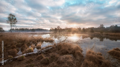 Fototapeta Naklejka Na Ścianę i Meble -  Gildehauser Swamp in the morning