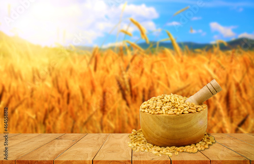 Background Wheat field and seeds laid on wooden background, used to make advertisements, flyers.